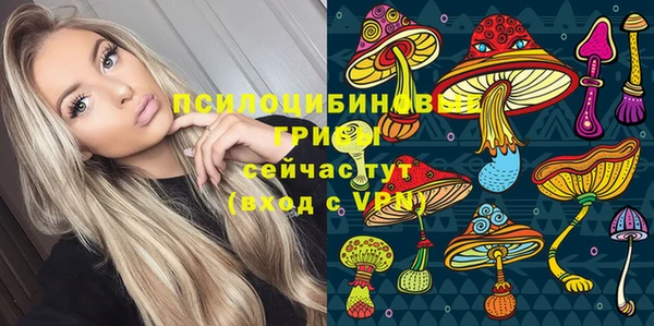 ешки Пересвет