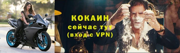 ешки Пересвет
