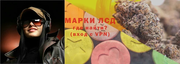 ПСИЛОЦИБИНОВЫЕ ГРИБЫ Пестово