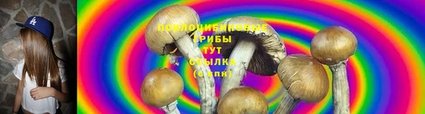 ешки Пересвет