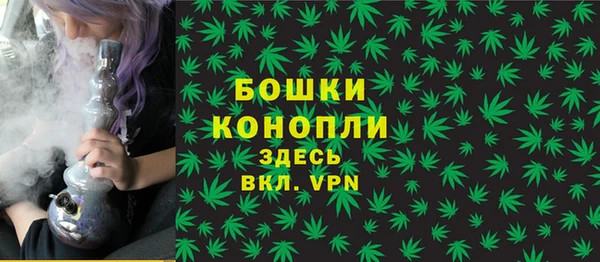 ПСИЛОЦИБИНОВЫЕ ГРИБЫ Пестово