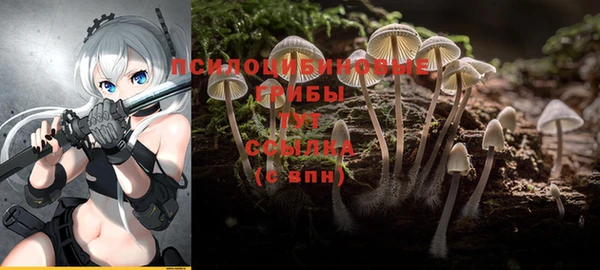 бошки Коряжма
