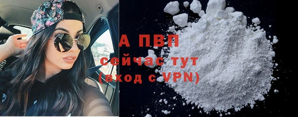 ПСИЛОЦИБИНОВЫЕ ГРИБЫ Пестово