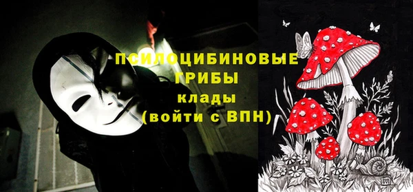 ПСИЛОЦИБИНОВЫЕ ГРИБЫ Пестово