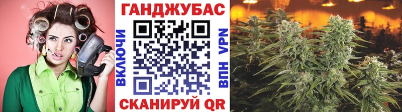 Каннабис план  Спасск 